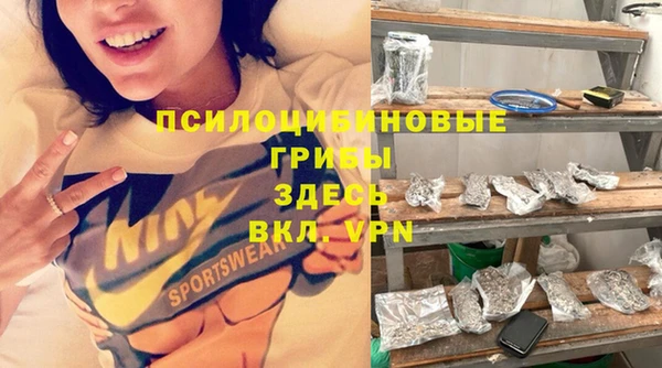 круглые Каменка