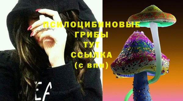 круглые Каменка