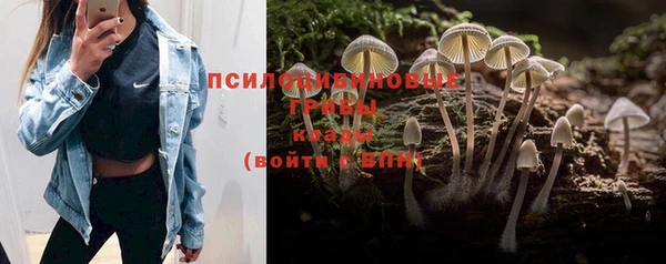 кокаин премиум Каменногорск