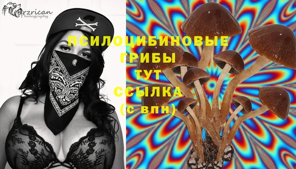 марихуана Каменск-Шахтинский